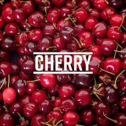 Tropical Sensations - Cherry Granita Mix, 6 Bottles 64 Oz Each 9 Tropical Sensations - Cherry Granita Mix, 6 Bottles 64 Oz Each -Bunn Outlet Store 61tffxbp ul. sx679 1