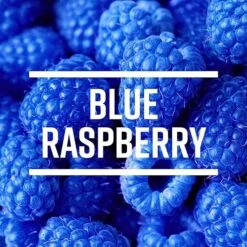 Tropical Sensations - Blue Raspbery Granita Mix, 6 Bottles 64 Oz Each -Bunn Outlet Store 71pt6rooxbl. sx679
